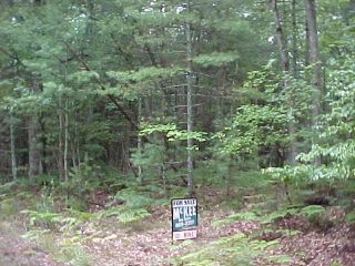 Real estate pentwater mi for sale